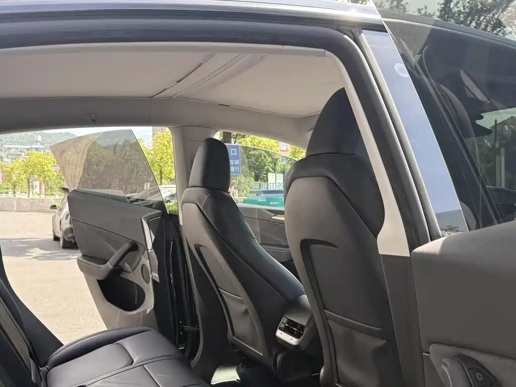 Tesla Model Y — миниатюра 6