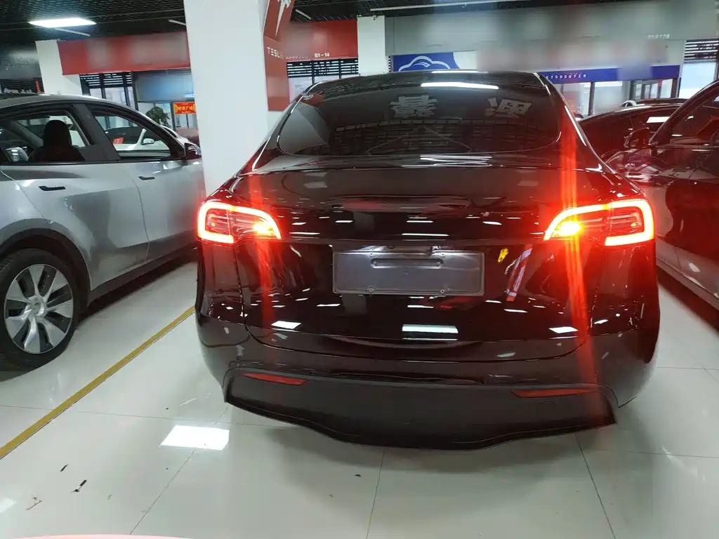Tesla Model Y — миниатюра 6