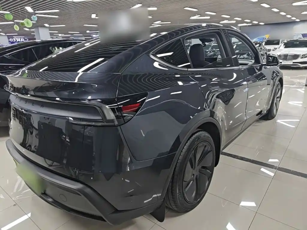 Tesla Model Y — миниатюра 7