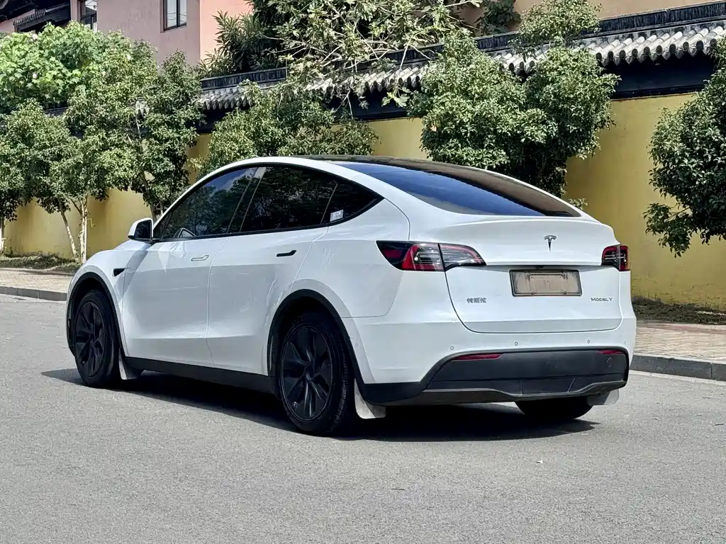 Tesla Model Y — миниатюра 5