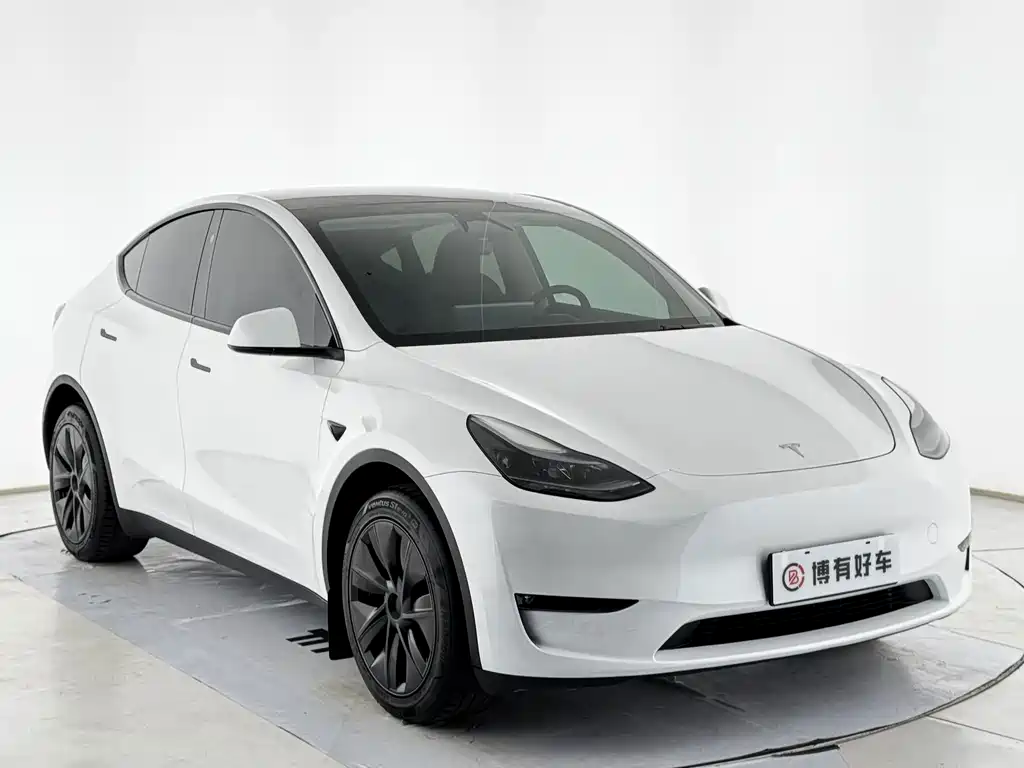 Tesla Model Y — миниатюра 3