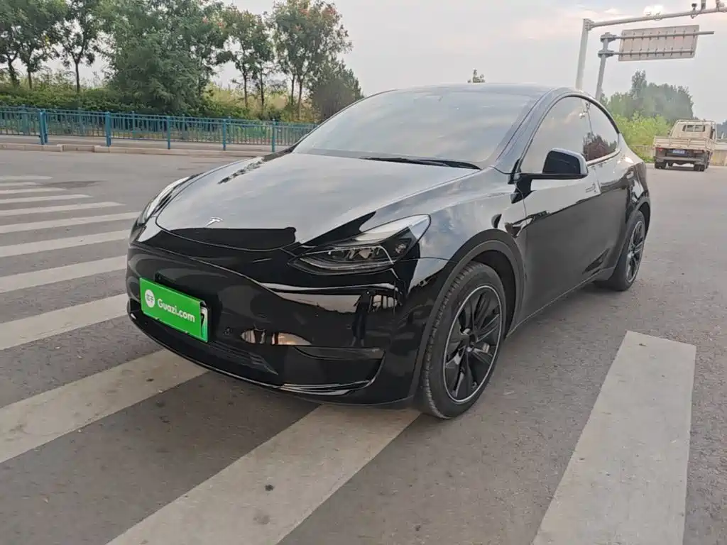 Tesla Model Y — миниатюра 2