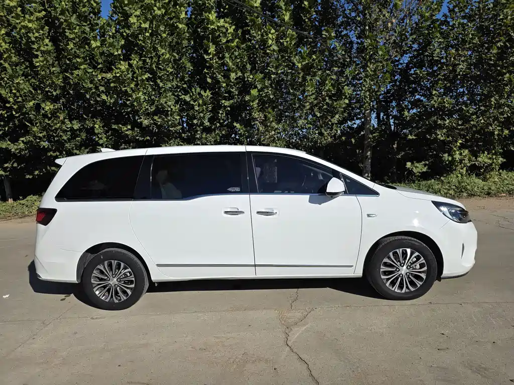 Buick GL8 — миниатюра 4