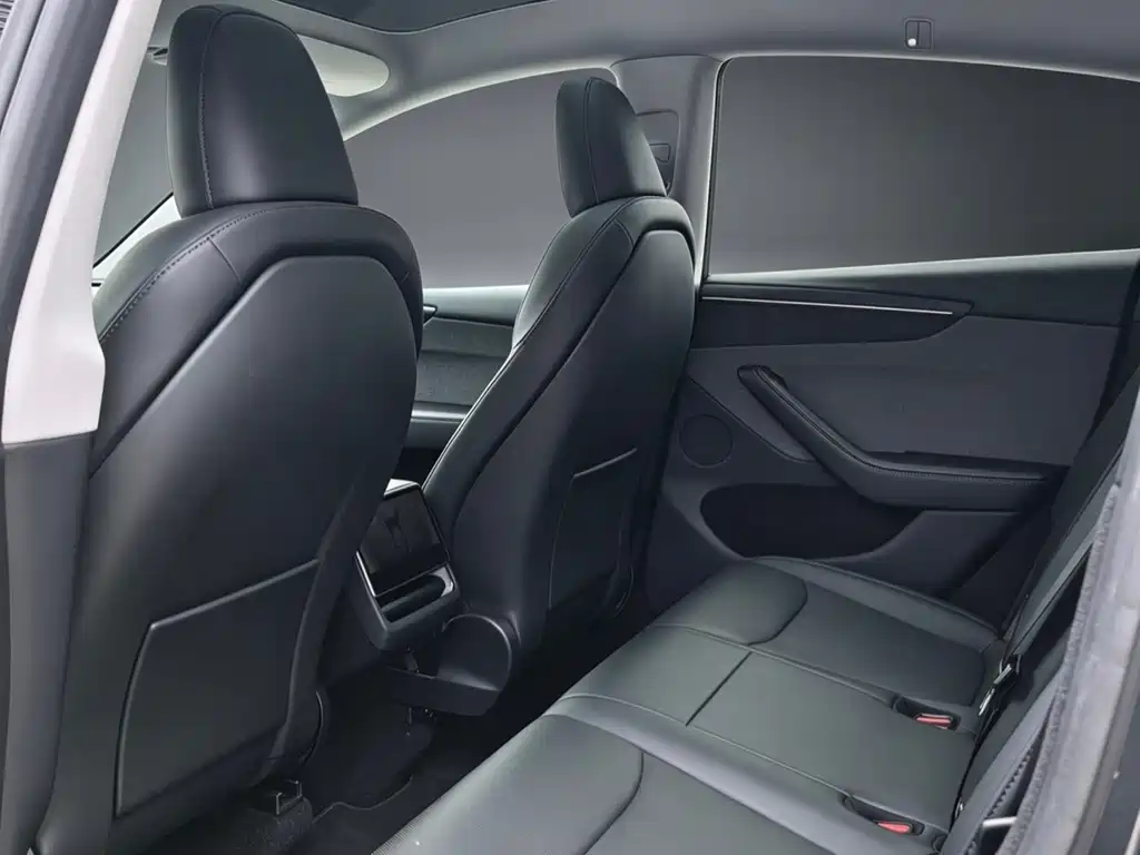 Tesla Model Y — миниатюра 6