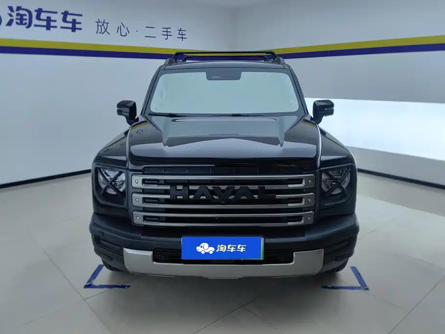 Haval Menglong New Energy — миниатюра 2