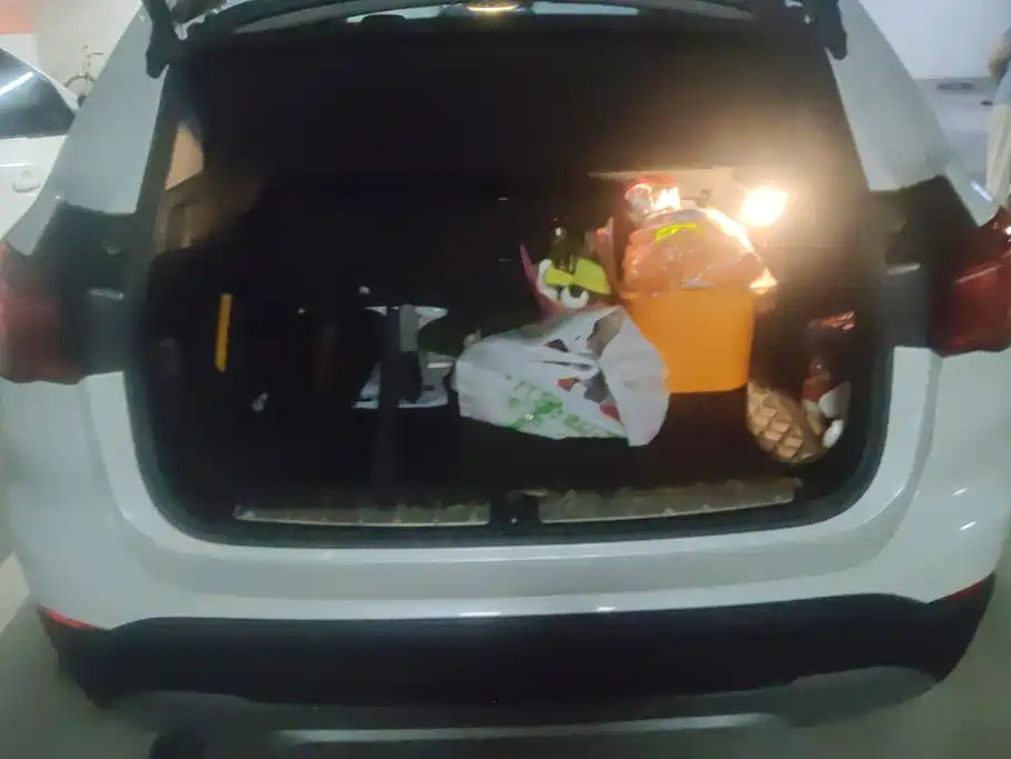 BMW X1 New Energy — миниатюра 4