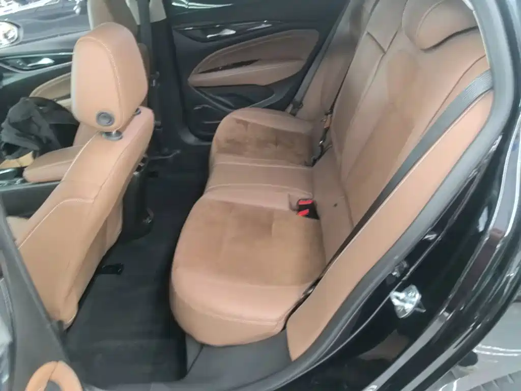Buick Regal — миниатюра 17
