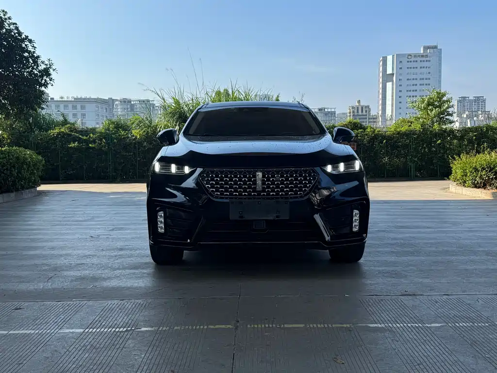 WEI PAI WEI BRAND VV7