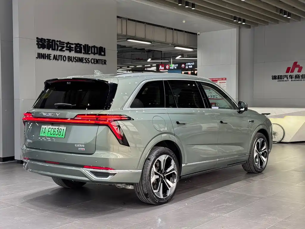 WEI PAI WEI BRAND BLUE MOUNTAIN