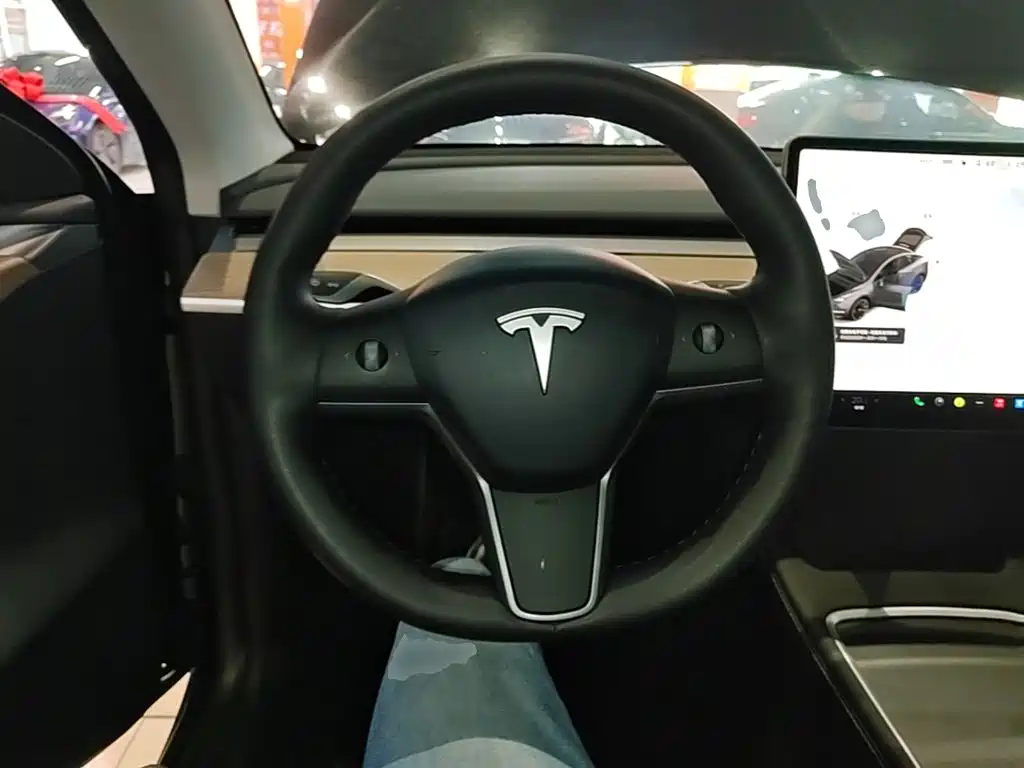 Tesla Model Y — миниатюра 11