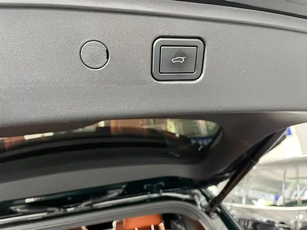 WEI PAI WEI BRAND BLUE MOUNTAIN