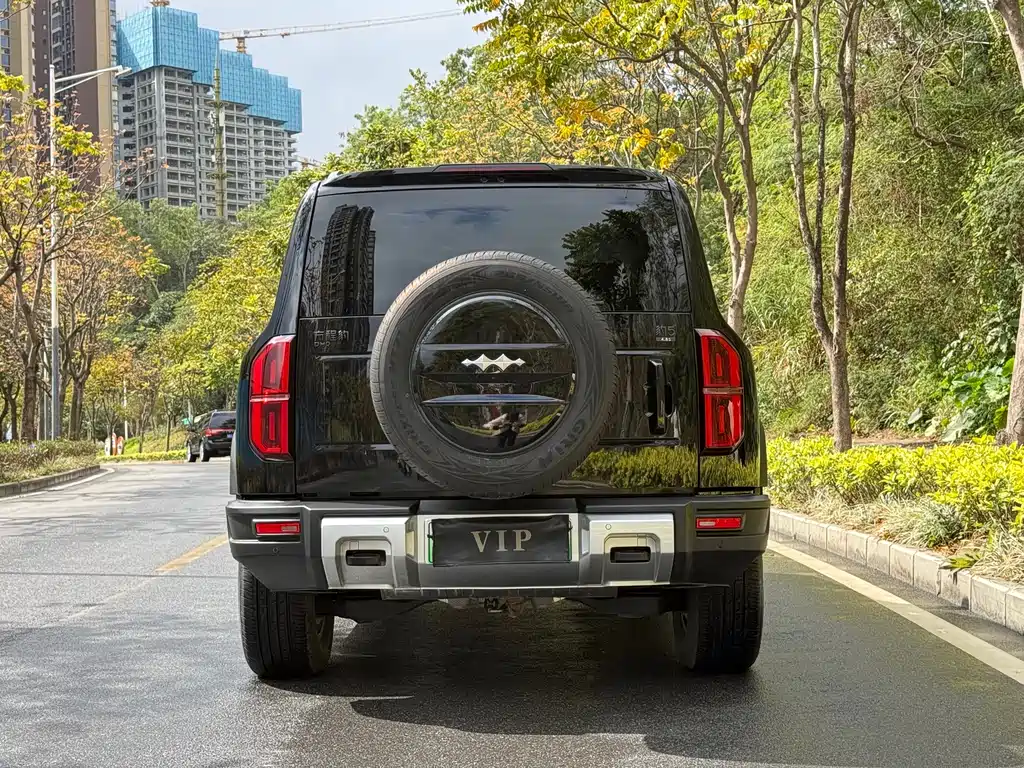 FANG CHENG BAO LEOPARD 5