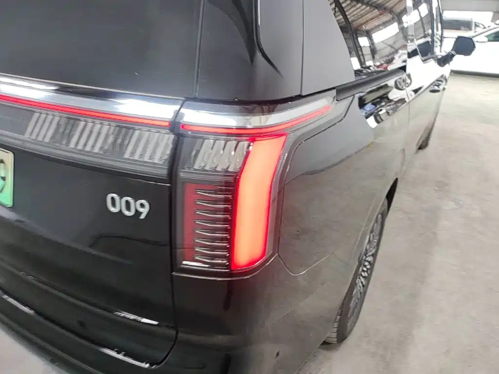 Zeekr 009 2024 мест 108kWh