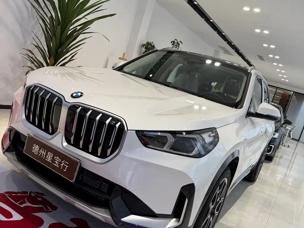 BMW X1 0