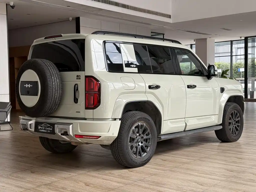 FANG CHENG BAO LEOPARD 5