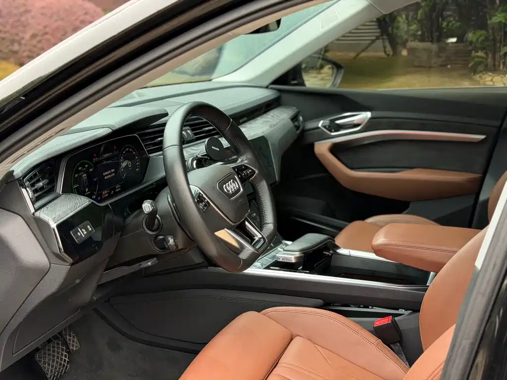 Audi e-tron (Import) — миниатюра 16