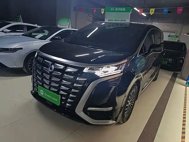 2023 Denza D9