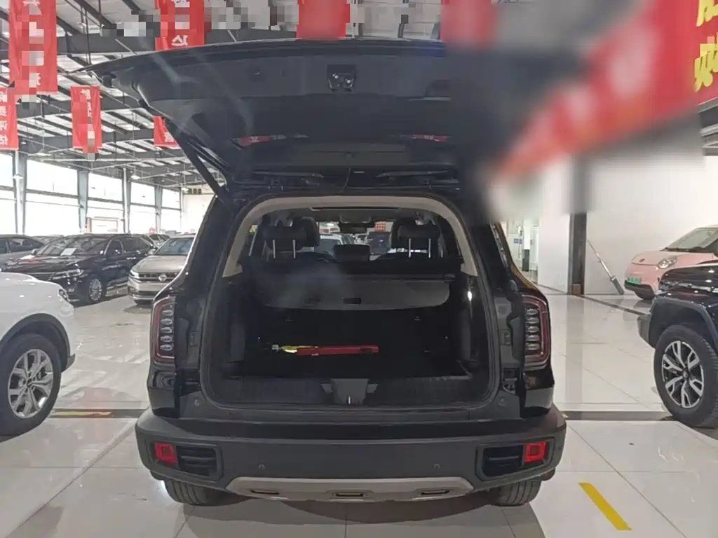 Haval Big Dog — миниатюра 19