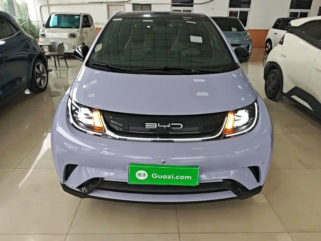 BYD Dolphin — миниатюра 3