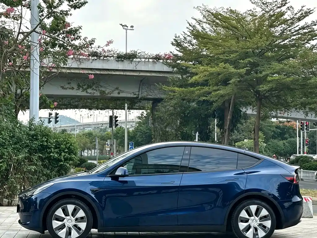 Tesla Model Y — миниатюра 3
