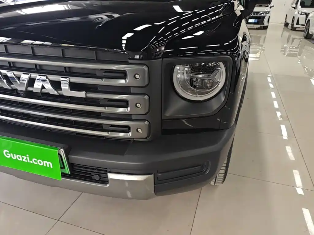 Haval Menglong New Energy — миниатюра 24