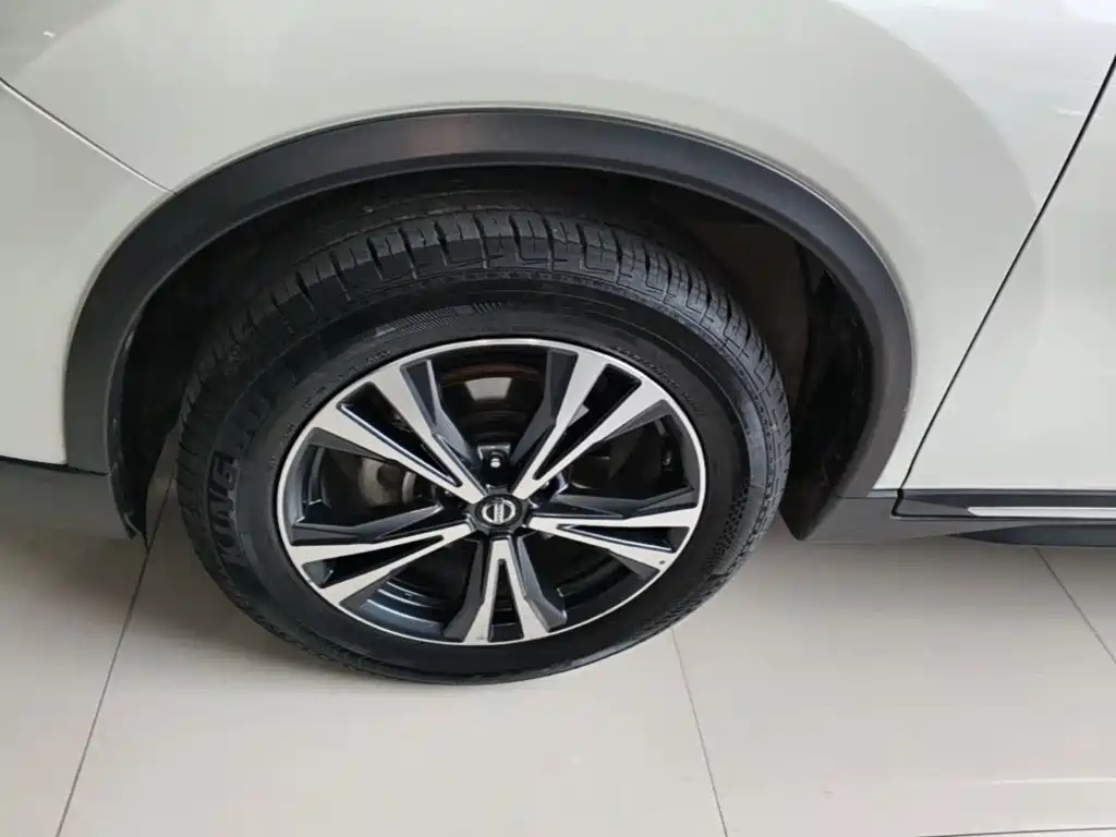 Nissan X-Trail — миниатюра 23