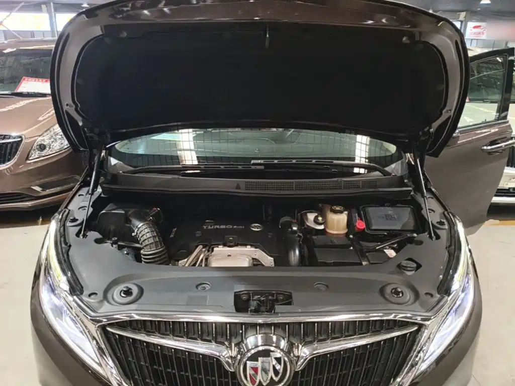 Buick GL8 — миниатюра 20