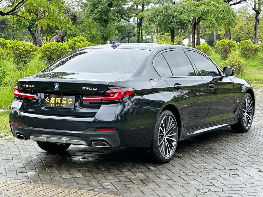BMW 5 Series — миниатюра 15