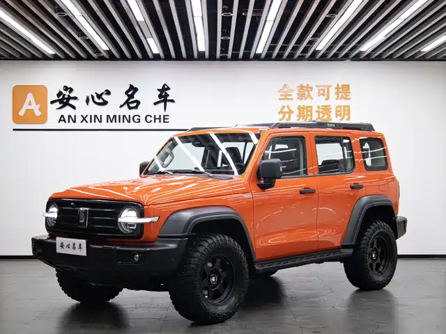 2025 TANK 300