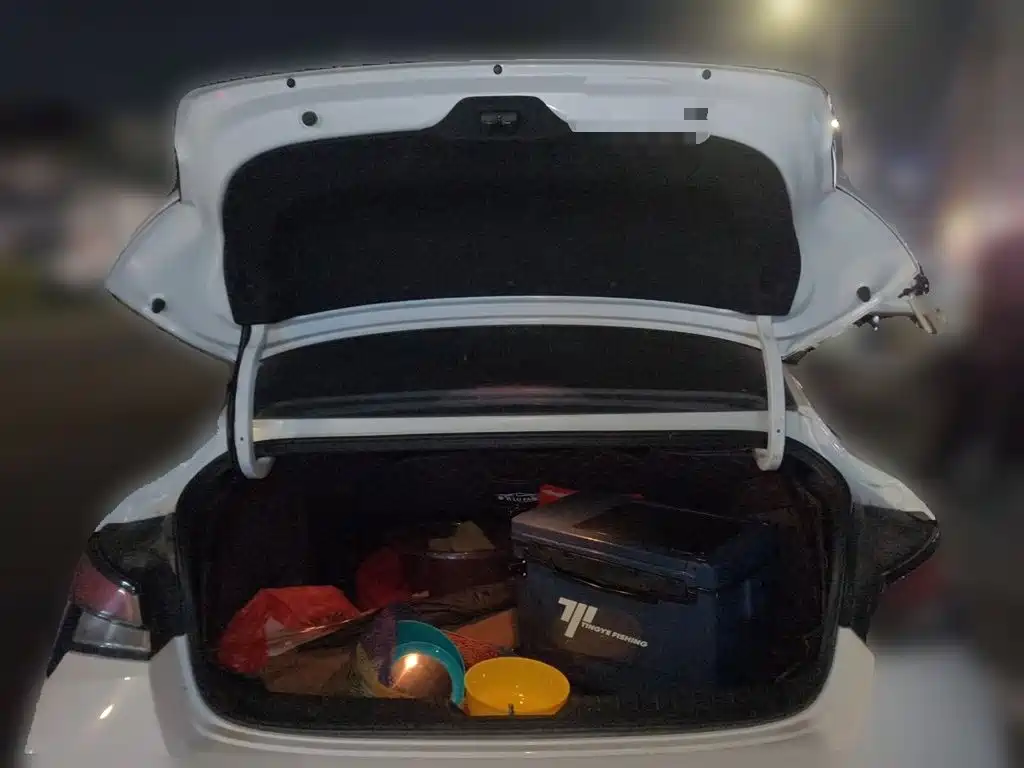 Hyundai Elantra — миниатюра 15