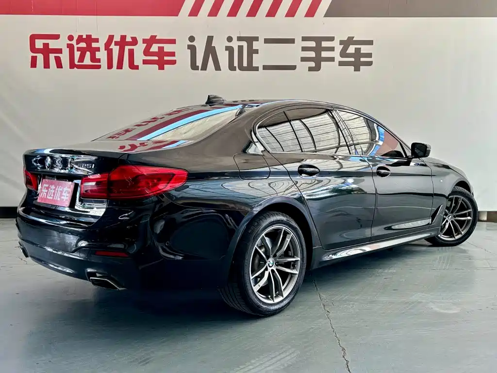 BMW 5 Series (Import) — миниатюра 5