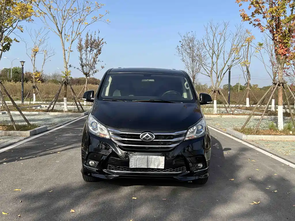 SAIC MAXUS CHASE G10