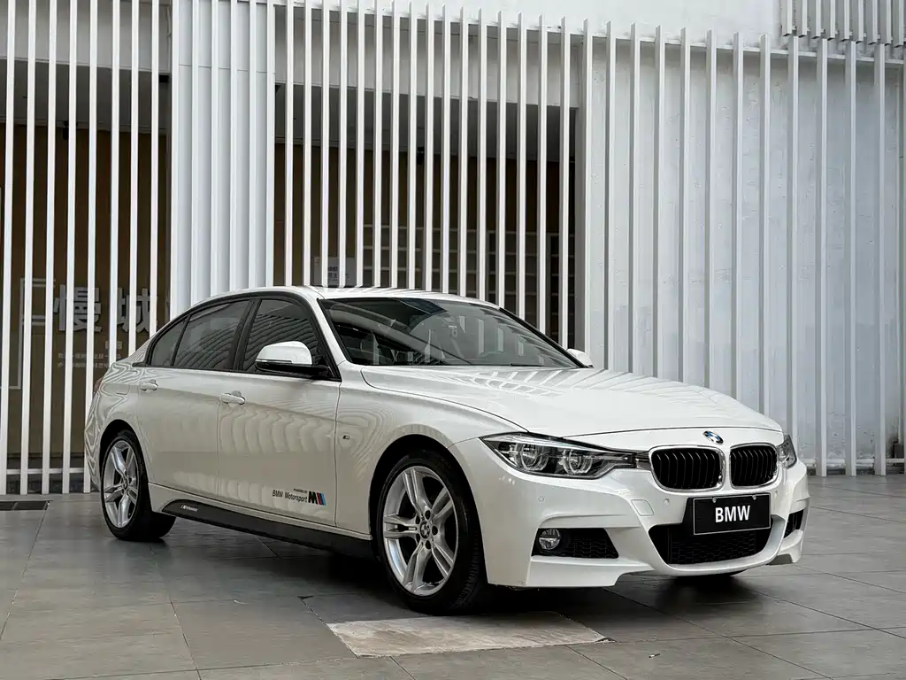 BMW 3 Series 3 2019 320Li M Sport