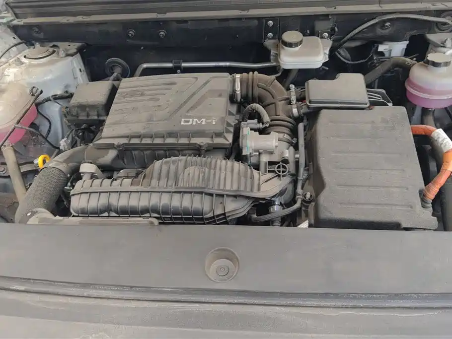 BYD SONGJIANG NEW ENERGY