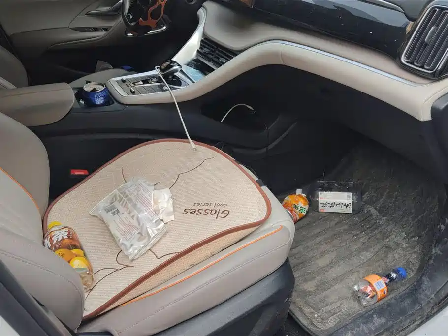 BYD SONGJIANG NEW ENERGY