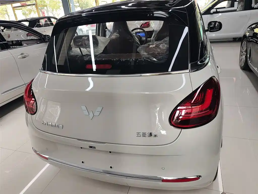 Wuling Binguo 2025 333km Enjoy