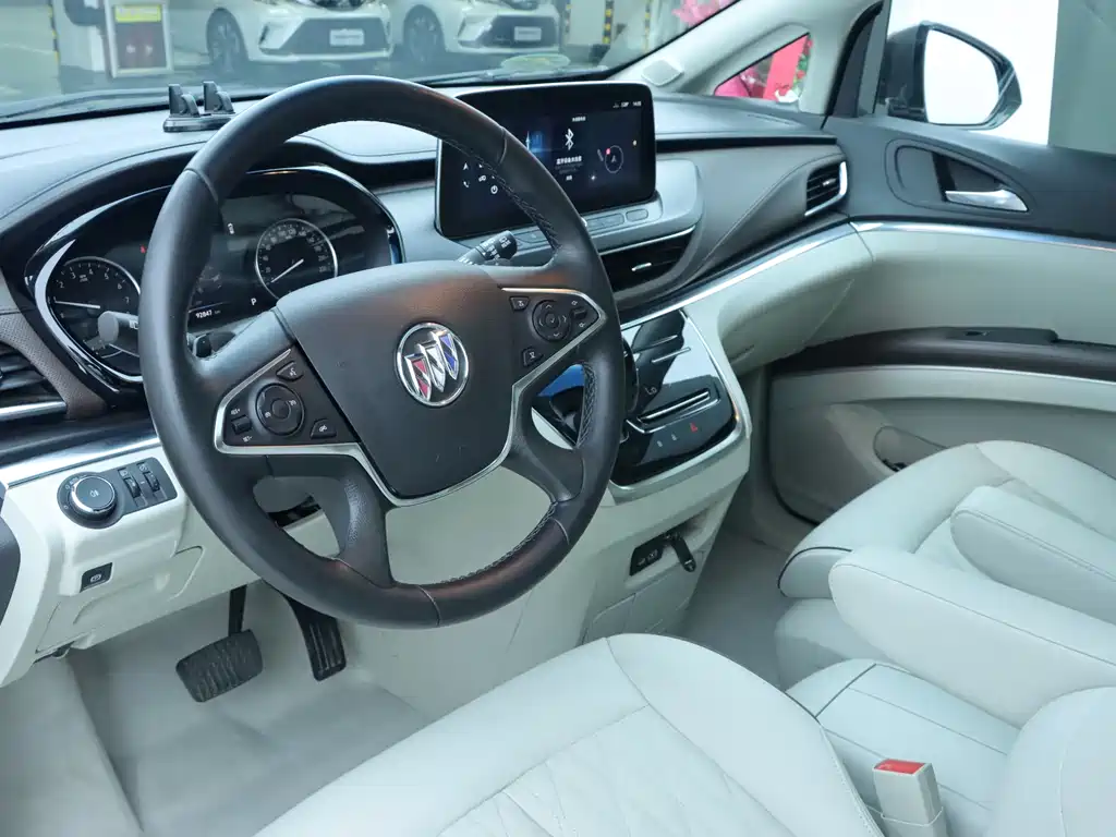 Buick GL8 Land Business Class 652T Luxury Type, фото 6