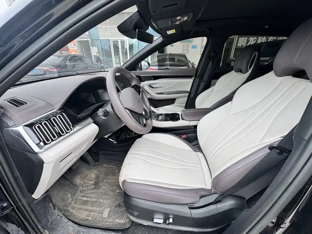 BYD SONGJIANG NEW ENERGY