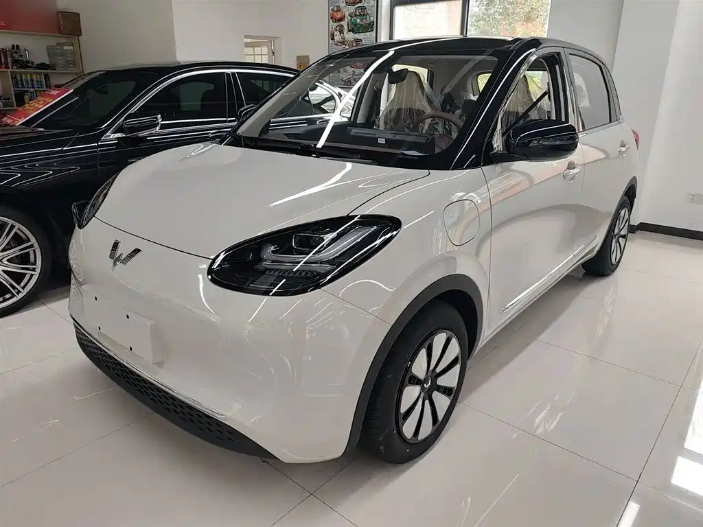 Wuling Binguo 2025 333km Enjoy