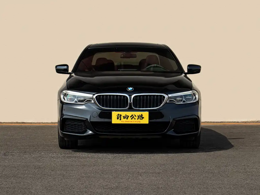 BMW 5 Series 5 2020 530Li xDrive M Sport