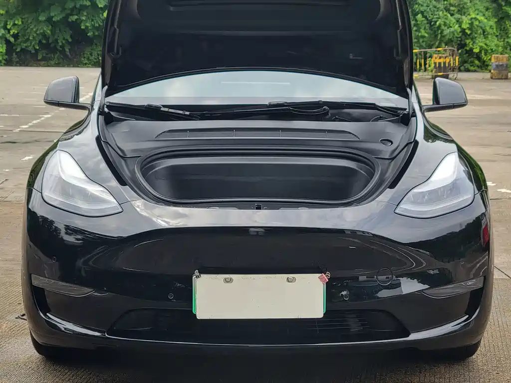 Tesla Model Y — миниатюра 5