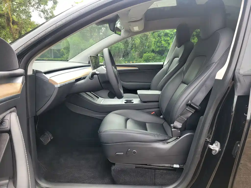 Tesla Model Y — миниатюра 9