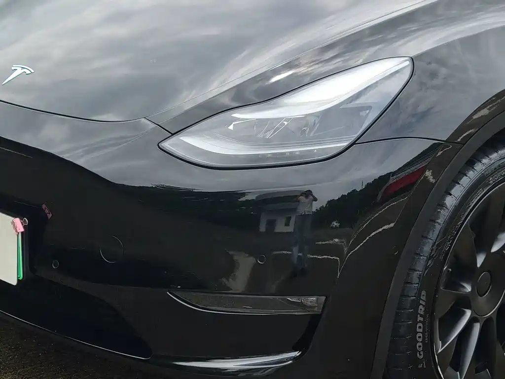 Tesla Model Y — миниатюра 4