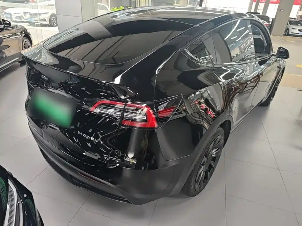 Tesla Model Y — миниатюра 7