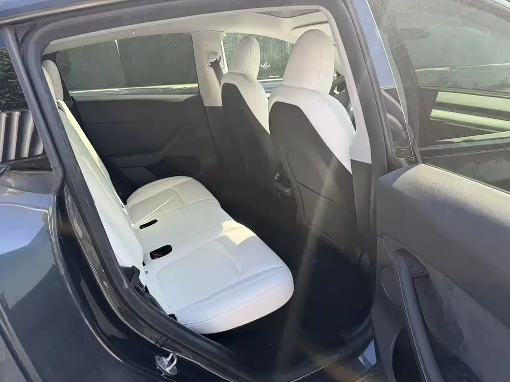 Tesla Model Y — миниатюра 5