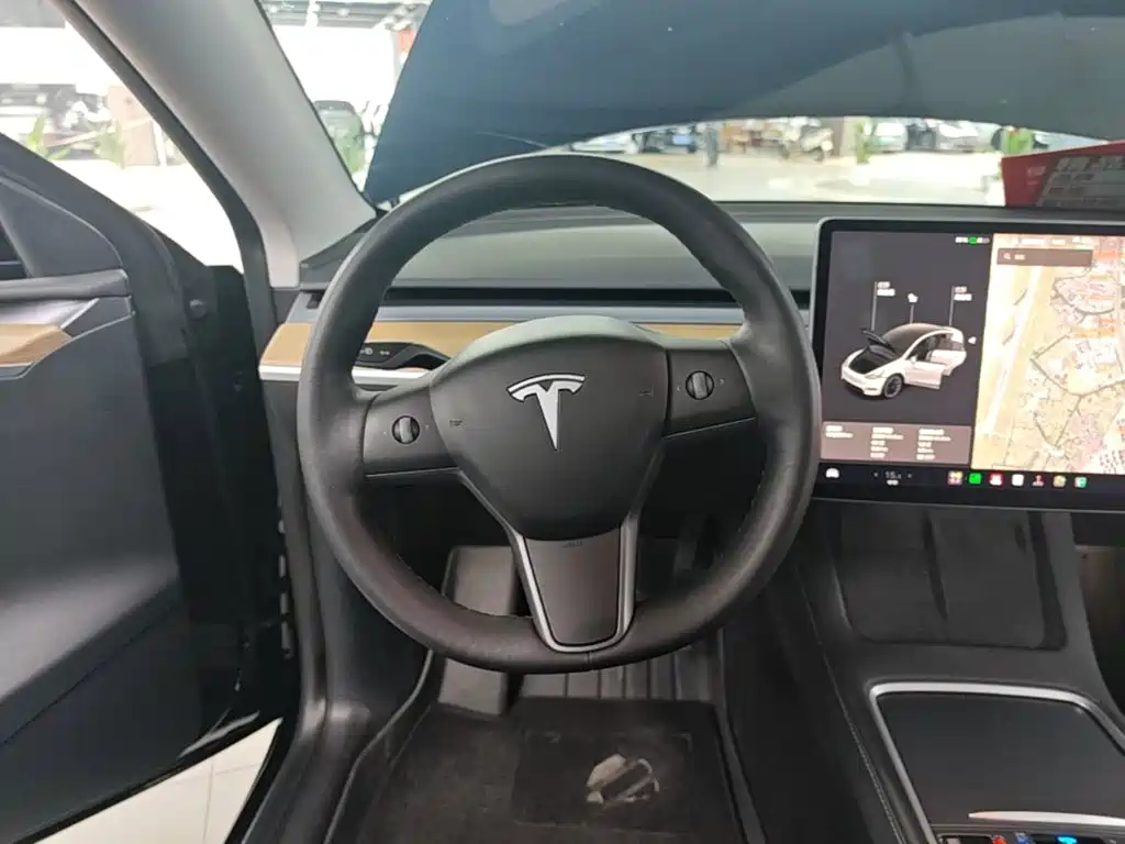 Tesla Model Y — миниатюра 11