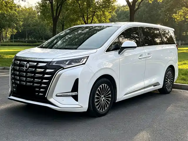 Denza D9