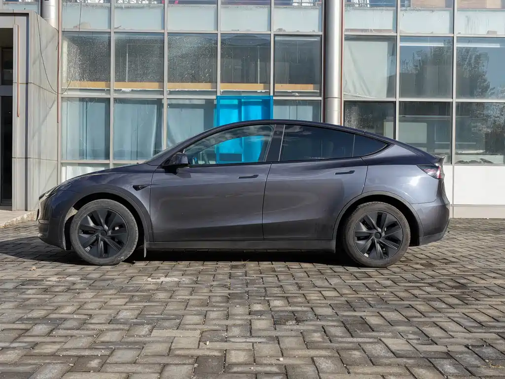 Tesla Model Y — миниатюра 8