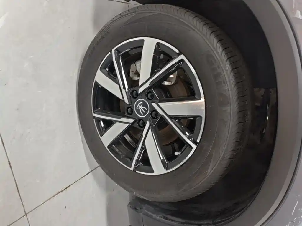 BYD Pro New Energy — миниатюра 23
