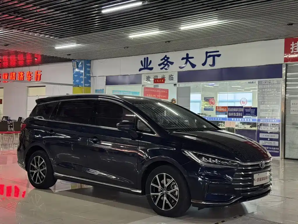BYD MAX New Energy - фото 3